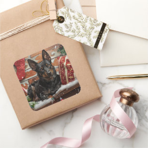 Australian Kelpie Dog Christmas Festive Square Sticker