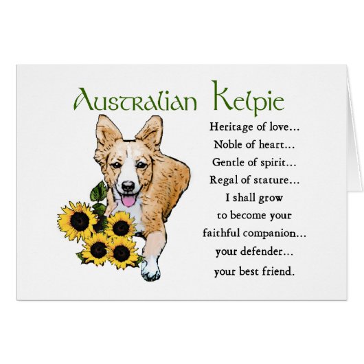 Australian Kelpie Gifts Cards (Front Horizontal)