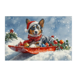Australian Kelpie in Sledge Let it Snow Christmas Acrylic Print