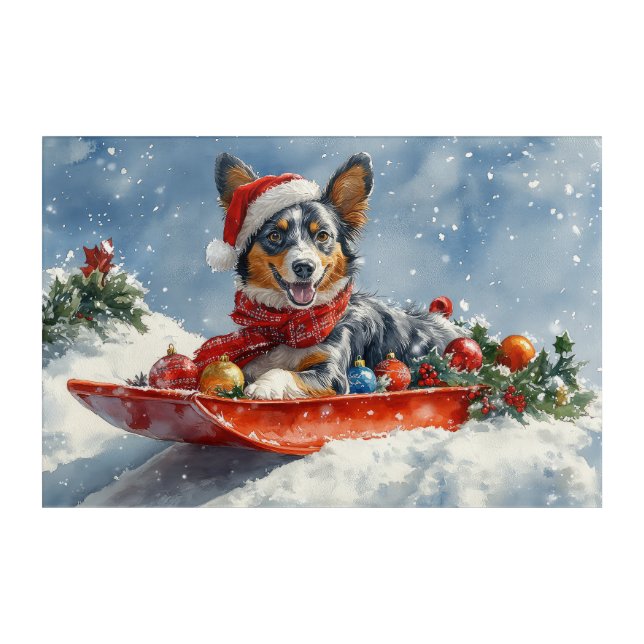 Australian Kelpie in Sledge Let it Snow Christmas Acrylic Print (Front)