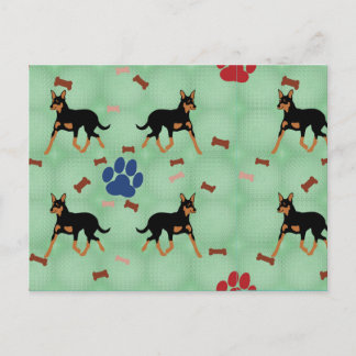 Australian Kelpie Postcard