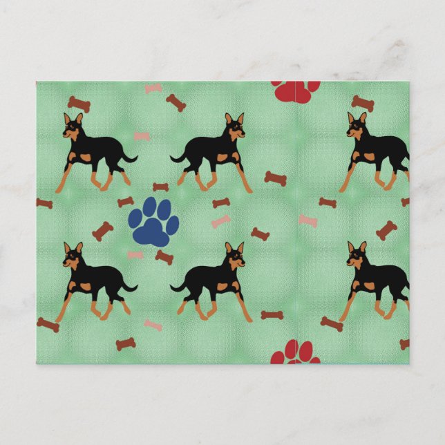 Australian Kelpie Postcard (Front)