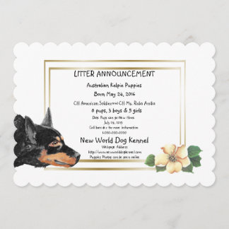 Australian Kelpie Puppies Birth Announcement