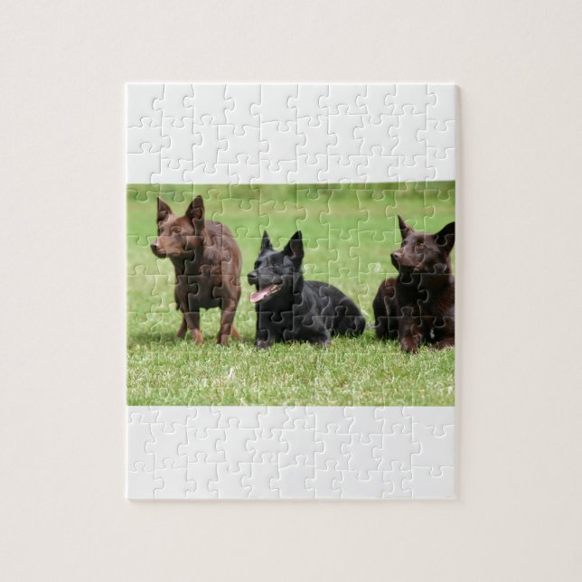 Australian Kelpie Puppies Jigsaw Puzzle (Vertical)