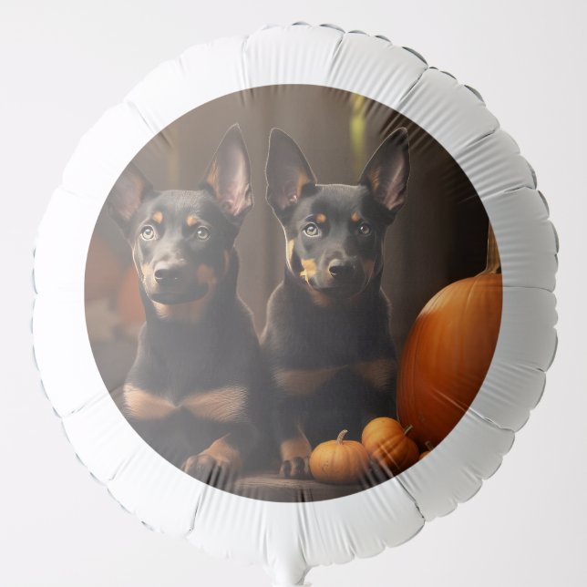 Australian Kelpie Puppy Autumn Delight Pumpkin Balloon (Front)