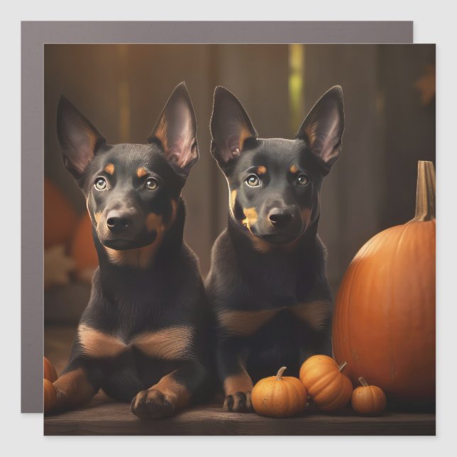 Australian Kelpie Puppy Autumn Delight Pumpkin Car Magnet (Front)