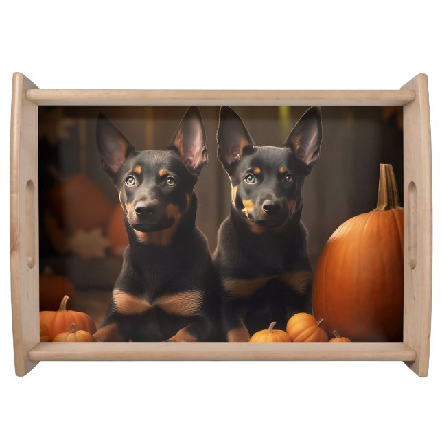 Australian Kelpie Puppy Autumn Delight Pumpkin Serving Tray (Front)