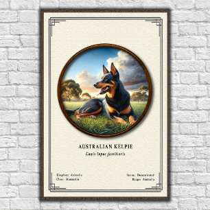 Australian Kelpie Zoology Series Poster