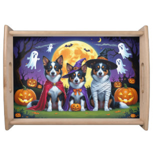 Australian Kelpies Dogs Pumpkin Halloween Funny Serving Tray