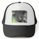 Australian Koala Baseball Hat