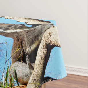 Australian Koala Bear In Old Pine Tree, Tablecloth