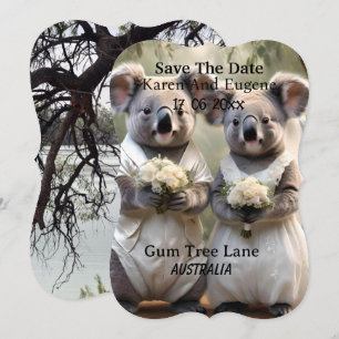 Australian Koala Bear White Wedding, Invitation