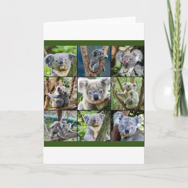 Australian Koala in Eucalyptus Tree Holiday Card (Front)