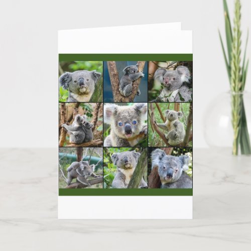 Australian Koala in Eucalyptus Tree Holiday Card