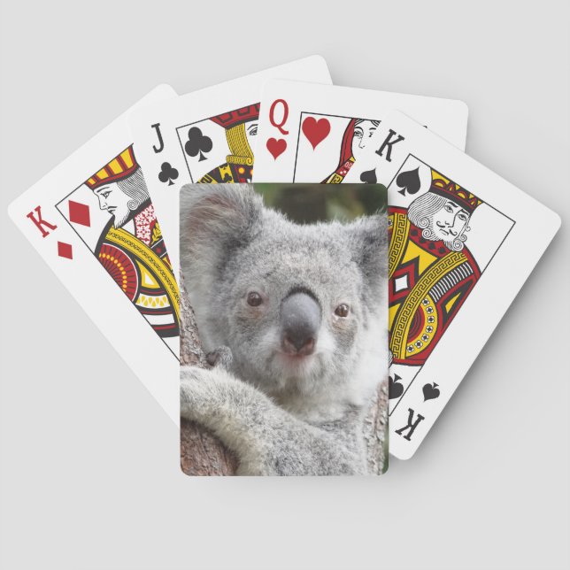 Australian Koala Poker Cards (Back)