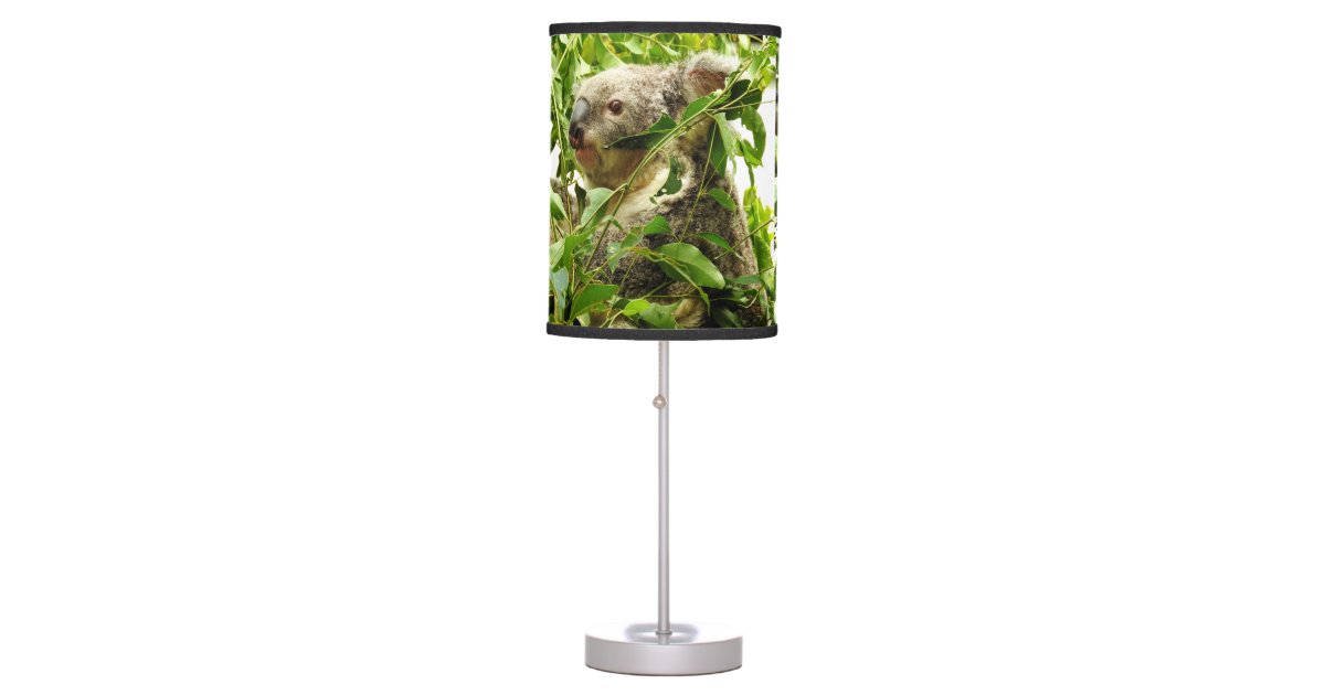 Australian Koala Table Lamp Zazzle