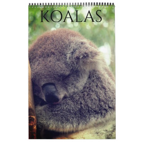 australian koalas 2024 calendar