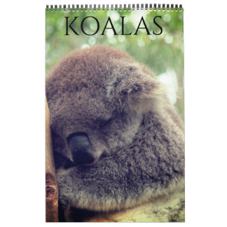 australian koalas 2026 calendar