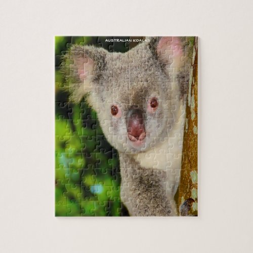 Australian Koalas Jigsaw Puzzle