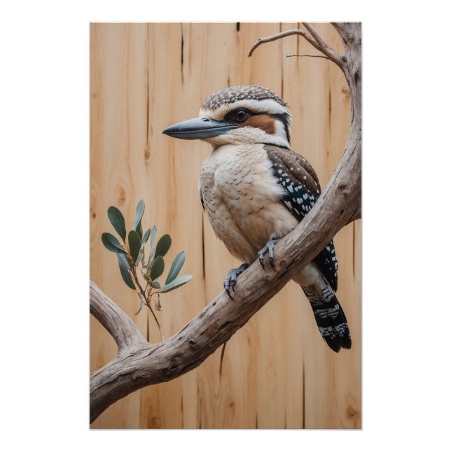 Australian Kookaburra in a Tree Wildlife Art Poster (Front)