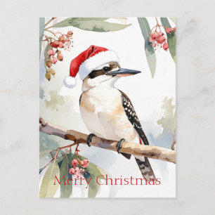 Australian Kookaburra Santa hat Merry Christmas Postcard