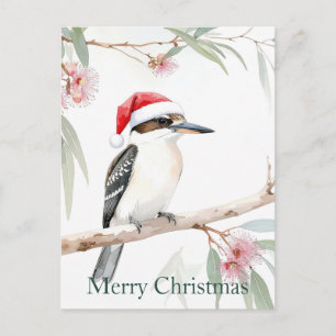 Australian Kookaburra Santa hat Merry Christmas Postcard
