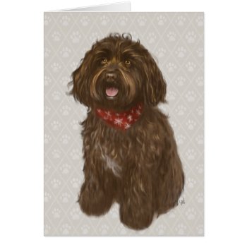 Australian Labradoodle By Labradoodle Love by LabradoodleLove at Zazzle