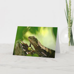 Australian lizard between leaves, Photo Greeting Card