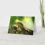 Australian lizard between leaves, Photo Greeting Card