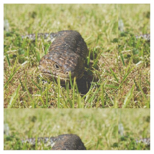 Australian Lizard, Stumpy, Fabric