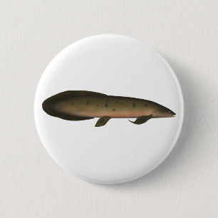 Australian Lungfish Button