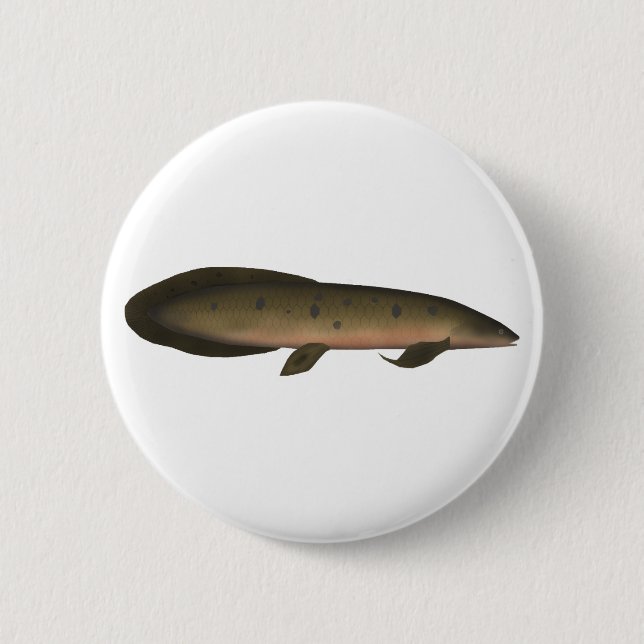 Australian Lungfish Button (Front)