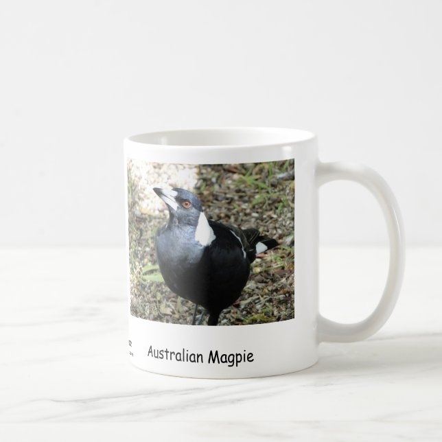 Australian Magpie Coffee Mug (Right)
