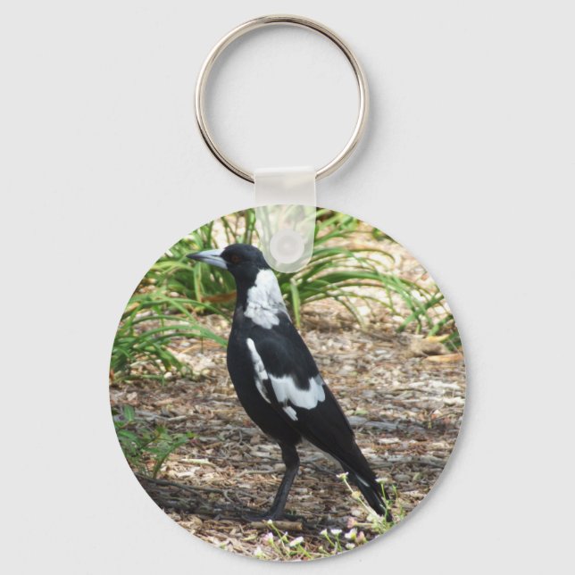 Australian Magpie Key Ring (Front)