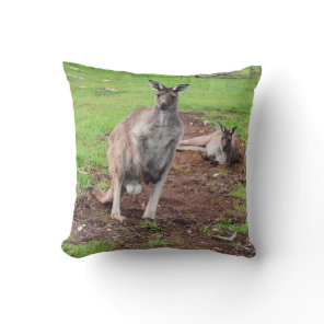 Australian Male Buck Kangaroo, Throw Cushion. Pillow