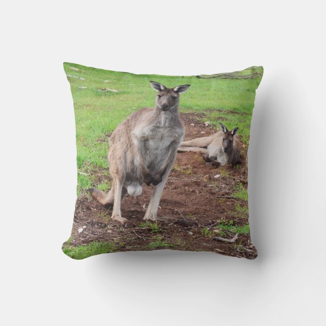 Australian Male Buck Kangaroo, Throw Cushion. Pillow (Front)