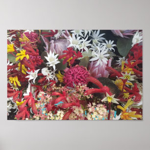 Australian Native Flowers Poster