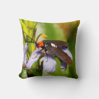 Australian Native Moth 1 Throw Pillow