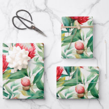 Australian Native Protea Flower