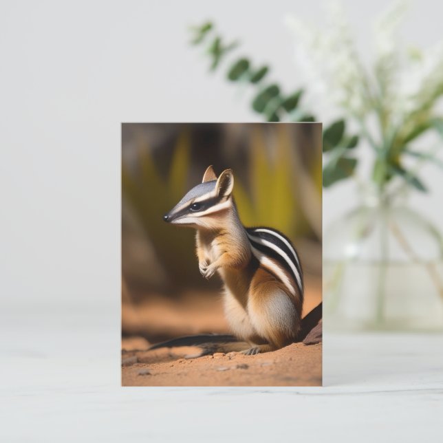 Australian Numbat, Postcard (Standing Front)