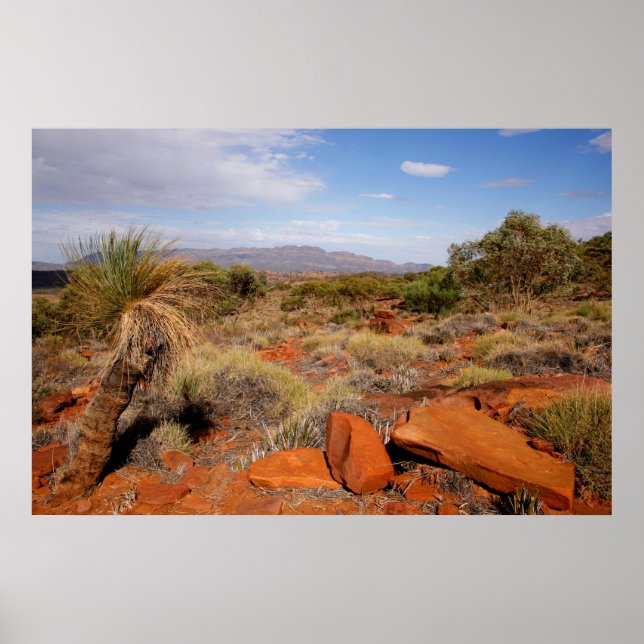 Australian Outback Desert Poster (Front)