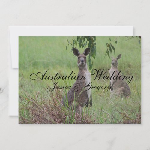 Australian Outback Kangaroos Wedding Invitations