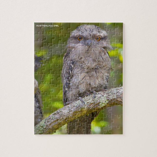 Australian Owl Jigsaw Puzzle (Vertical)