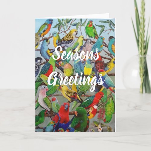 Australian Parakeets Christmas Card