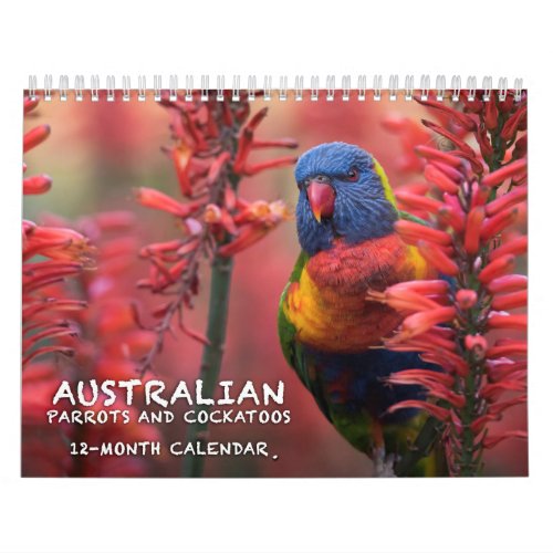 Australian Parrots  Cockatoos calendar _ 3 sizes