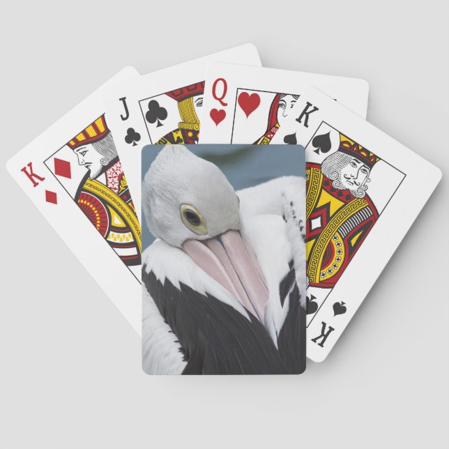Australian pelican close up poker cards (Back)
