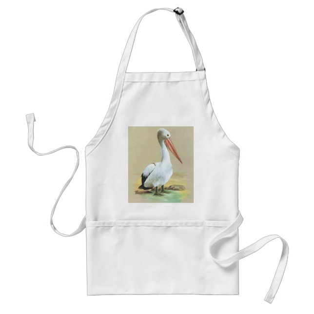 Australian Pelican  - Pelecanus conspicillatus Adult Apron (Front)