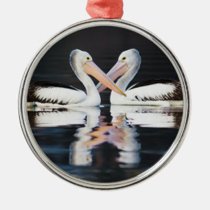 Australian Pelicans Pelecanus Conspicillatus Metal Ornament