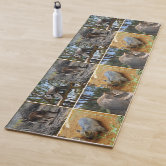 Kangaroo Fight Yoga Mat