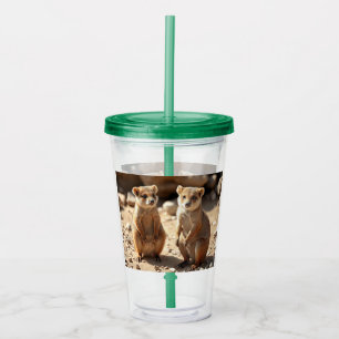 Australian Quokka Twins, Acrylic Tumbler